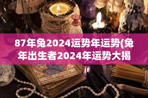 87年兔2024运势年运势(兔年出生者2024年运势大揭秘)