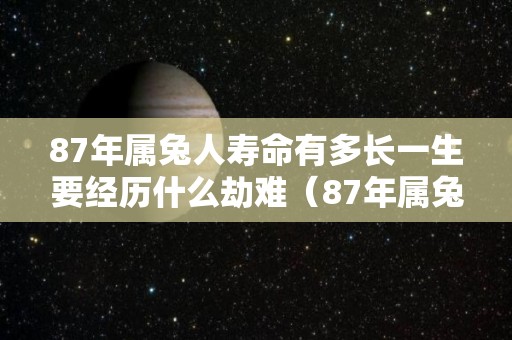 87年属兔人寿命有多长一生要经历什么劫难（87年属兔的人一生命运如何）
