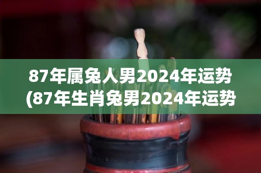 87年属兔人男2024年运势(87年生肖兔男2024年运势如何？)