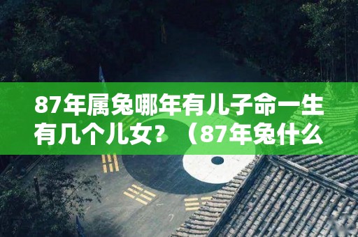 87年属兔哪年有儿子命一生有几个儿女？（87年兔什么时候有儿女）