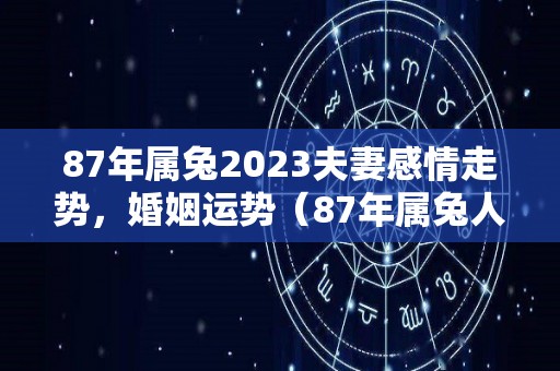 87年属兔2023夫妻感情走势，婚姻运势（87年属兔人在2023年的全年运势）