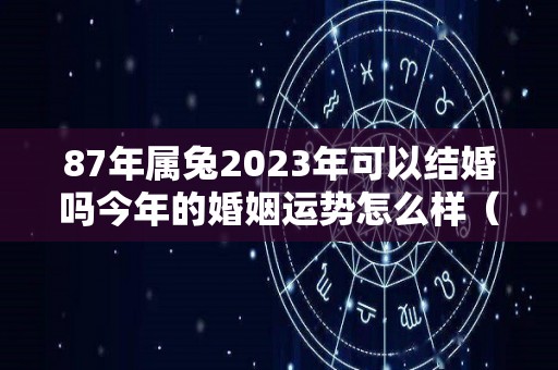 87年属兔2023年可以结婚吗今年的婚姻运势怎么样（87年兔2023年适合生子吗）