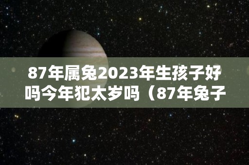 87年属兔2023年生孩子好吗今年犯太岁吗（87年兔子在2023年运势怎么样）