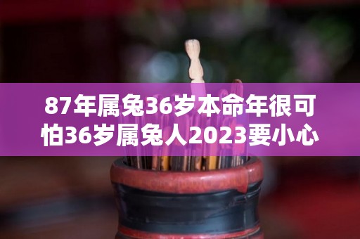 87年属兔36岁本命年很可怕36岁属兔人2023要小心（87年兔36岁是什么年）