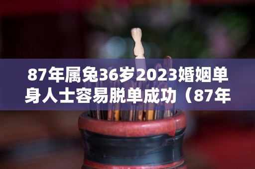 87年属兔36岁2023婚姻单身人士容易脱单成功（87年属兔2023年婚姻运势及运程及每月的运势）