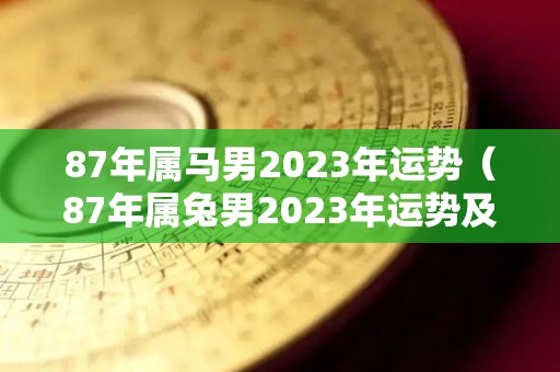 87年属马男2023年运势（87年属兔男2023年运势及运程）