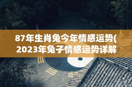 87年生肖兔今年情感运势(2023年兔子情感运势详解)