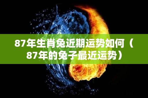 87年生肖兔近期运势如何（87年的兔子最近运势）