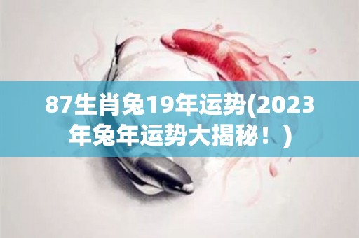 87生肖兔19年运势(2023年兔年运势大揭秘！)