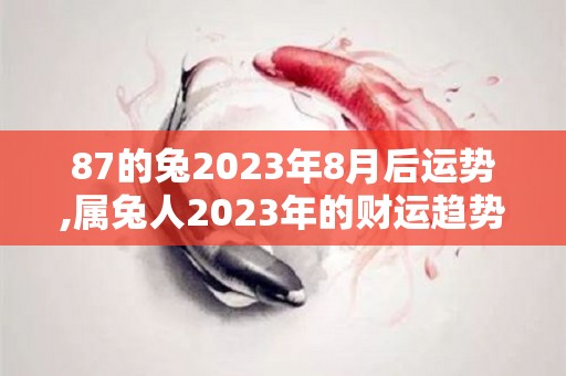87的兔2023年8月后运势,属兔人2023年的财运趋势如何