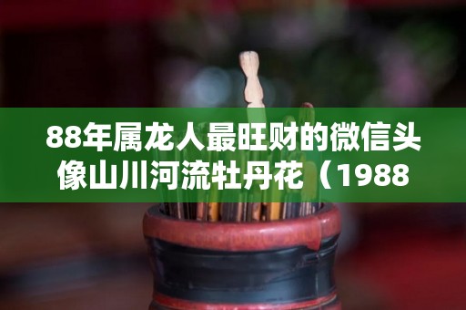 88年属龙人最旺财的微信头像山川河流牡丹花（1988属龙微信头像旺财）
