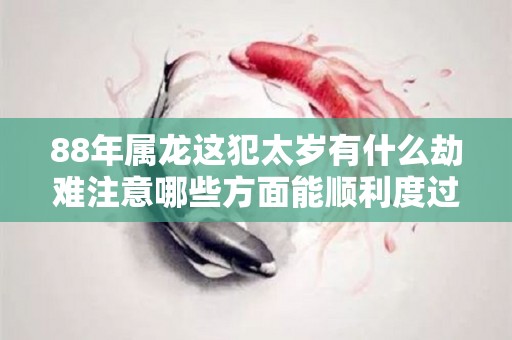 88年属龙这犯太岁有什么劫难注意哪些方面能顺利度过（88年的龙2021年犯太岁吗）