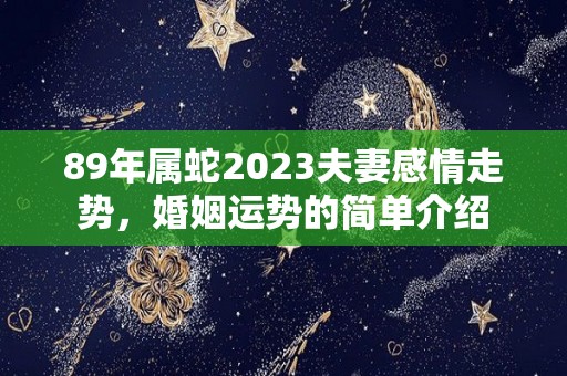 89年属蛇2023夫妻感情走势，婚姻运势的简单介绍