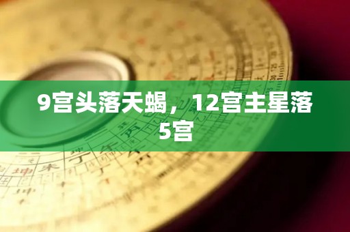 9宫头落天蝎，12宫主星落5宫