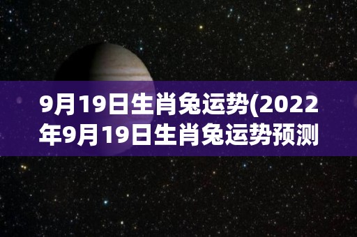 9月19日生肖兔运势(2022年9月19日生肖兔运势预测)