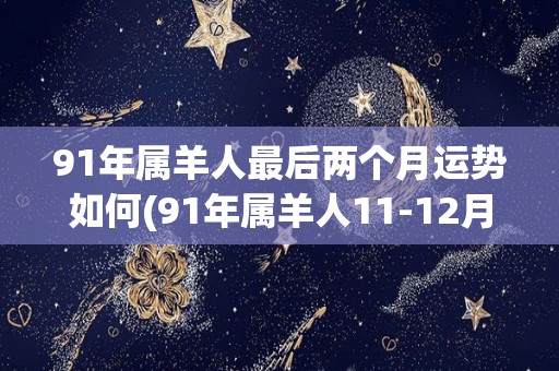 91年属羊人最后两个月运势如何(91年属羊人11-12月份运势预测)