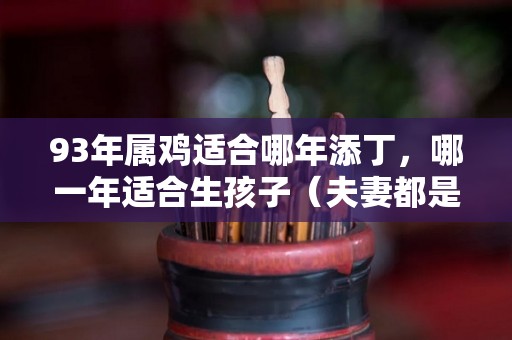 93年属鸡适合哪年添丁，哪一年适合生孩子（夫妻都是93年属鸡,要生哪年的孩子会旺自己）