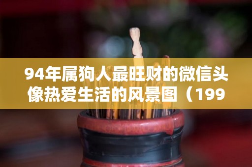 94年属狗人最旺财的微信头像热爱生活的风景图（1994年属狗人永远最旺的颜色）
