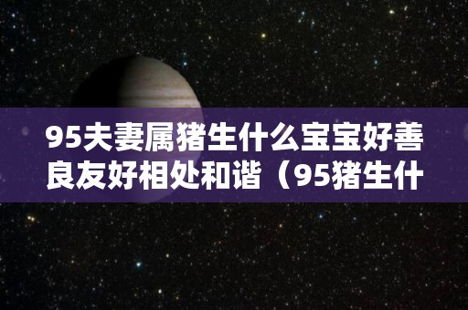 95夫妻属猪生什么宝宝好善良友好相处和谐（95猪生什么属相宝宝）