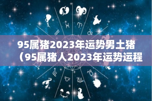 95属猪2023年运势男土猪（95属猪人2023年运势运程每月运程）