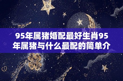 95年属猪婚配最好生肖95年属猪与什么最配的简单介绍