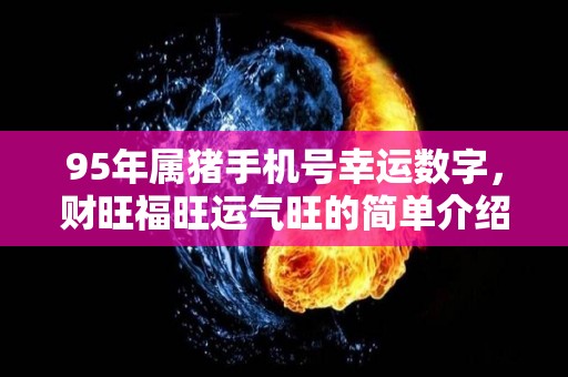 95年属猪手机号幸运数字，财旺福旺运气旺的简单介绍