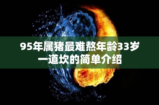 95年属猪最难熬年龄33岁一道坎的简单介绍