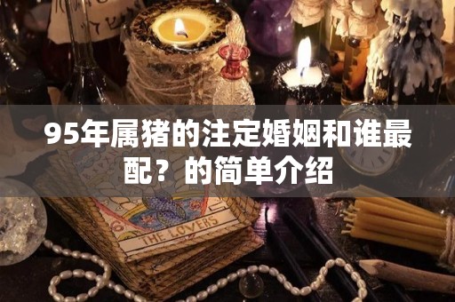 95年属猪的注定婚姻和谁最配？的简单介绍