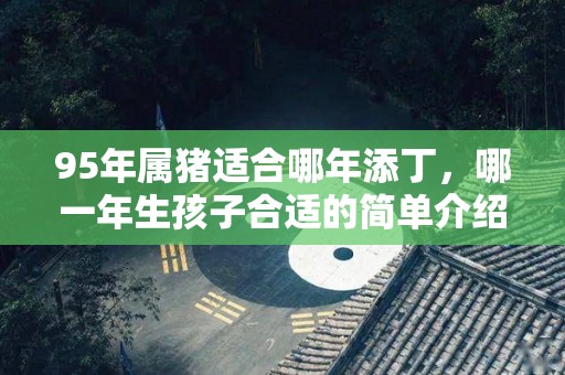 95年属猪适合哪年添丁，哪一年生孩子合适的简单介绍