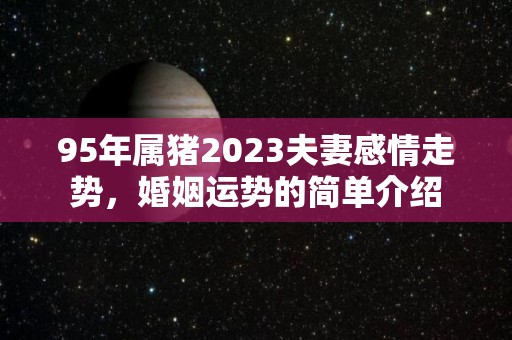 95年属猪2023夫妻感情走势，婚姻运势的简单介绍