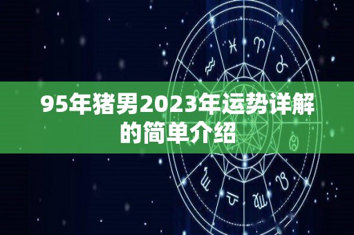 95年猪男2023年运势详解的简单介绍