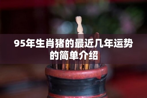 95年生肖猪的最近几年运势的简单介绍