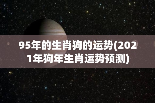 95年的生肖狗的运势(2021年狗年生肖运势预测)