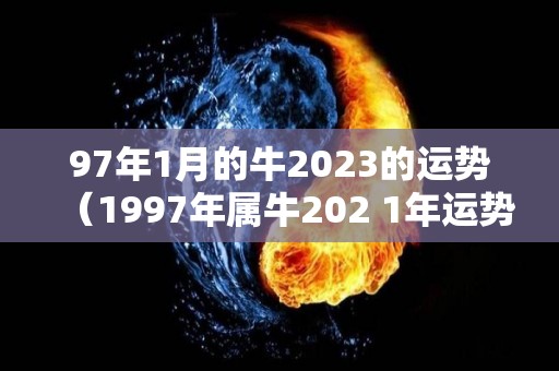 97年1月的牛2023的运势（1997年属牛202 1年运势）
