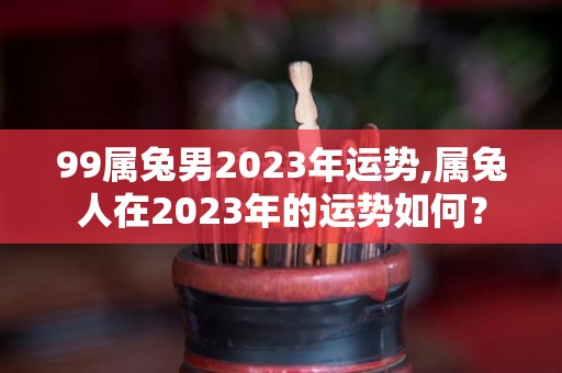 99属兔男2023年运势,属兔人在2023年的运势如何？