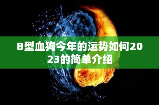 B型血狗今年的运势如何2023的简单介绍